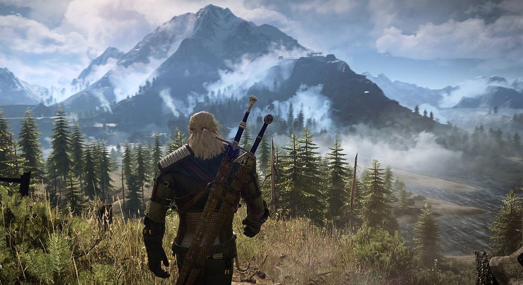 The Witcher 3 (14)