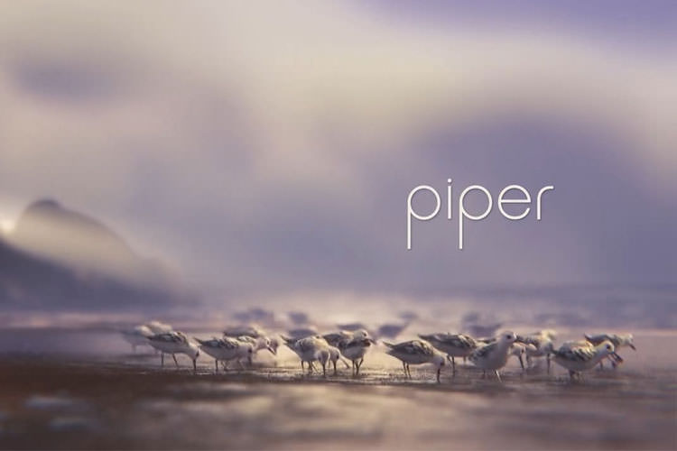 معرفی انیمیشن کوتاه Piper