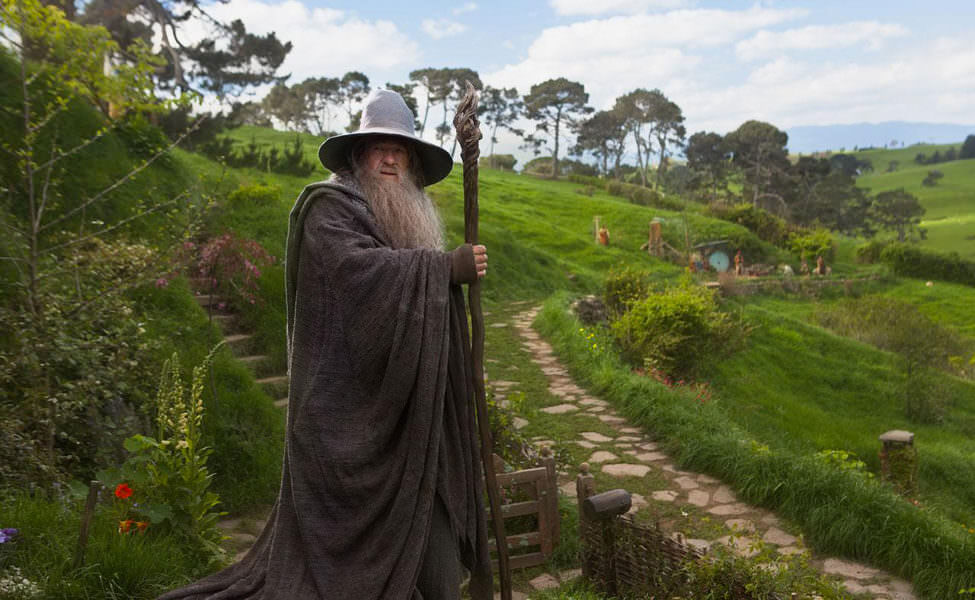 gandalf the grey in The Lord of the Rings: The Fellowship of the Ring