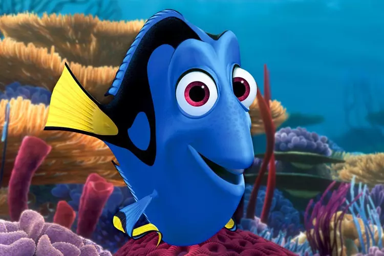 بررسی یک تئوری: Finding Nemo: آیا دوری واقعا مبتلا به فراموشی است؟ (قسمت اول)