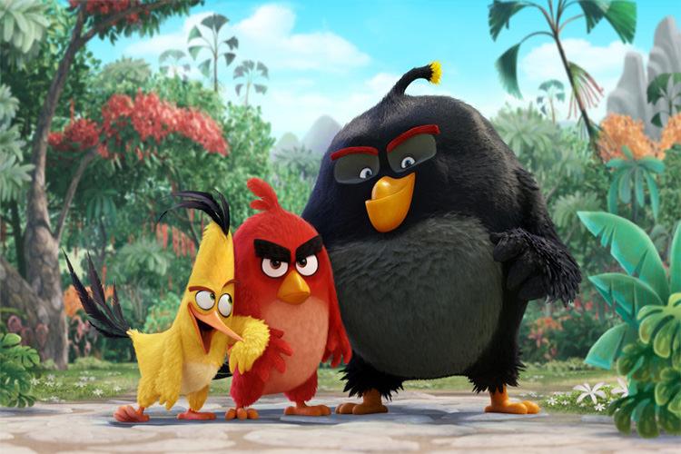 انیمیشن سریالی Angry Birds: Summer Madness برای نتفلیکس ساخته می‌شود