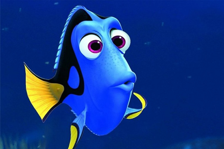 بررسی یک تئوری: Finding Nemo: آیا دوری واقعا مبتلا به فراموشی است؟ (قسمت دوم)
