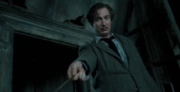 David Thewlis in Harry Potter