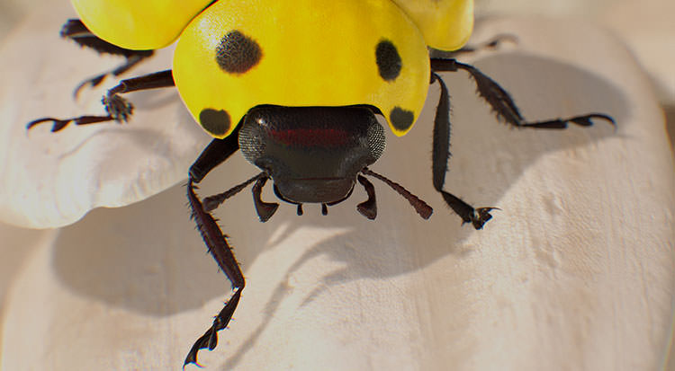 scorpio-ladybug-scorpio-upgraded