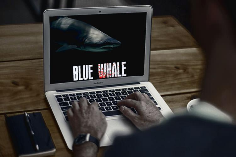 واکنش مدیر عامل بنیاد ملی بازی‌ های رایانه‌ ای به چالش نهنگ آبی