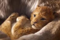 اولین تریلر فیلم The Lion King رکورد پر بیننده‌ترین تریلر دیزنی در 24 ساعت نخست انتشار را شکست