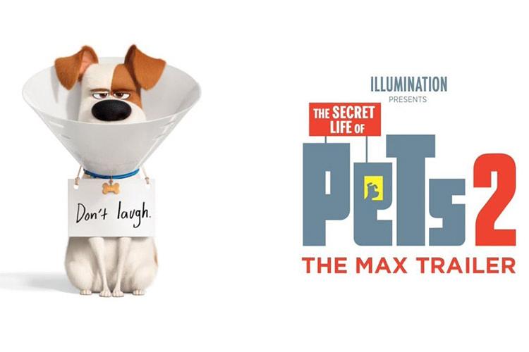 اولین تریلر انیمیشن The Secret Life of Pets 2 منتشر شد