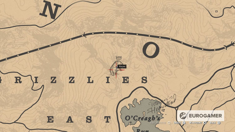 Red Dead Redemption 2 Map