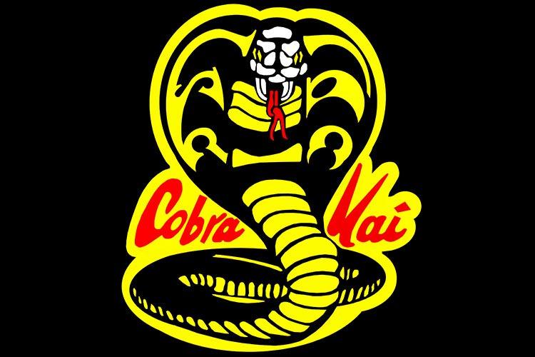 تیزر سریال Cobra Kai، دنباله فیلم The Karate Kid منتشر شد