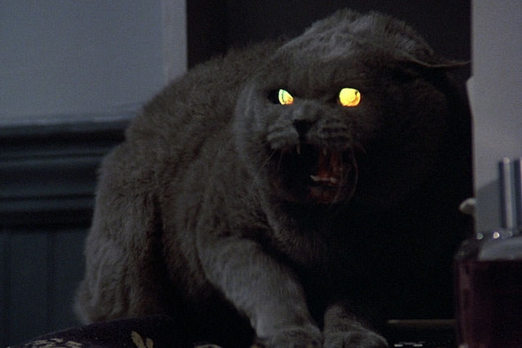 فیلم Pet Sematary ترسناک‌ ترین اقتباس از آثار استیون کینگ خواهد بود 