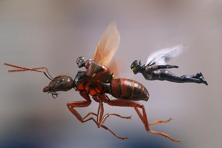تریلر جدید فیلم Ant-Man and The Wasp منتشر شد