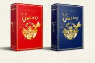 نسخه Limited Edition بازی Owlboy معرفی شد 