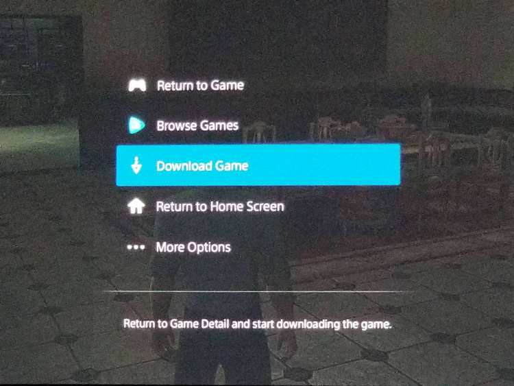 PlayStation Now Download Option