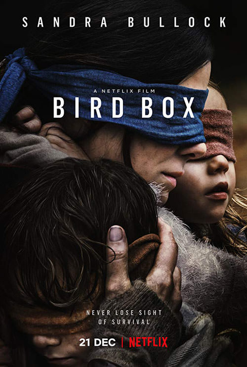 فیلم Bird Box پوستر