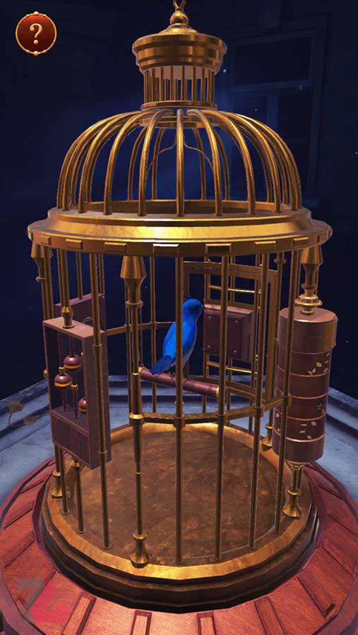 بازی the birdcage