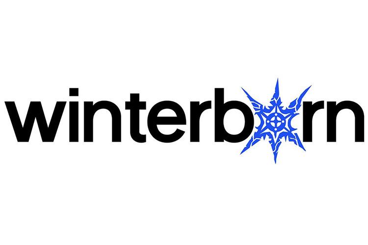 دو تن از کارمندان سابق Infinity Ward استودیو Winterborn Games را تأسیس کردند