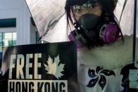 گیمرها برای آزادی هنگ کنگ در بلیزکان 2019 تجمع و اعتراض می‌کنند