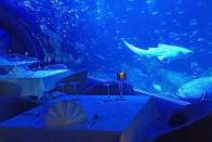 رستوران انداسی؛ بزرگترین رستوران زیر آب جهان در تایلند