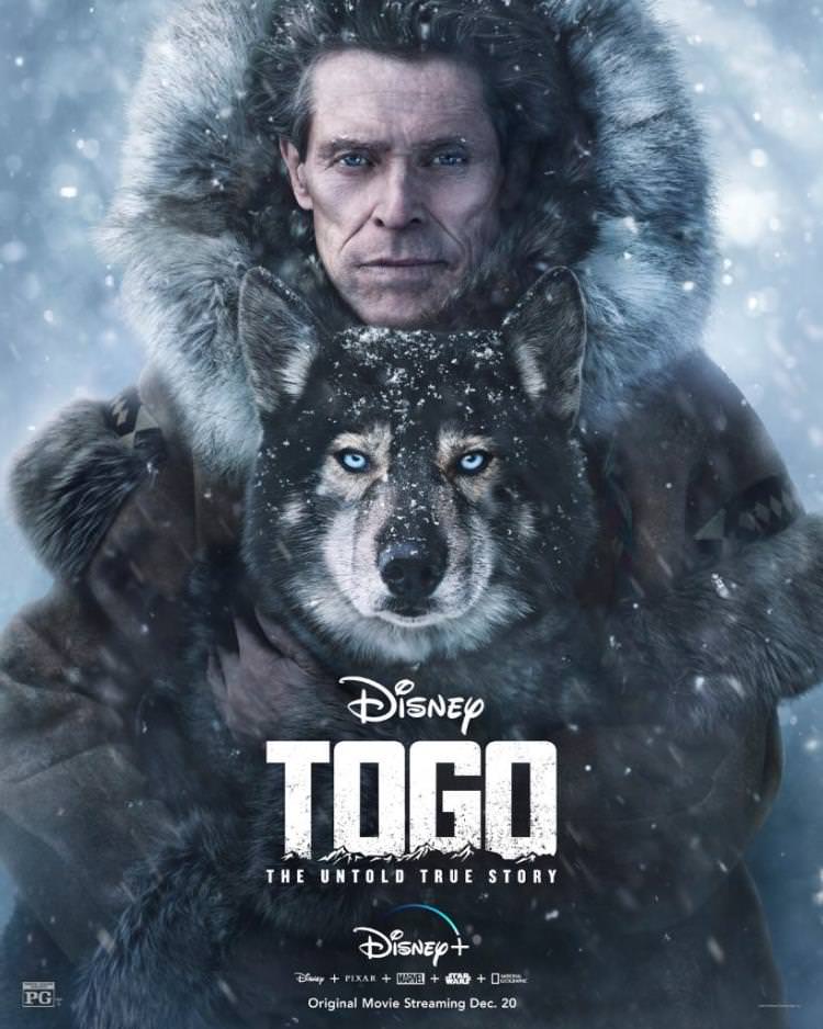 پوستر فیلم Togo