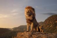 تصاویر جدید فیلم شیر شاه با حضور سیمبا، موفاسا و اسکار