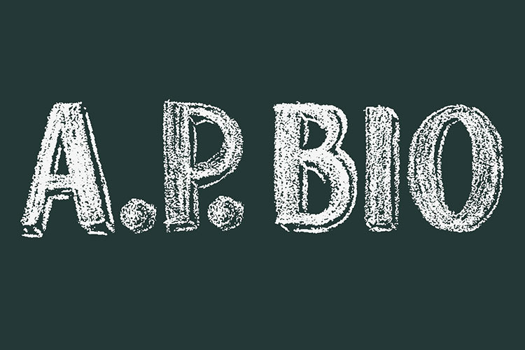 سریال A.P. Bio پس از پخش دو فصل به پایان راه رسید