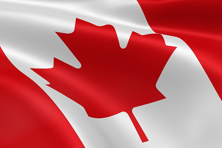 مؤسسه حقوقی Go2TR: هر آنچه که از تحصیل در کانادا لازم است بدانید