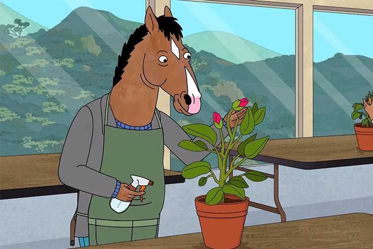 سریال BoJack Horseman در فصل ششم به پایان می‌رسد؛ اعلام تاریخ انتشار فصل پایانی