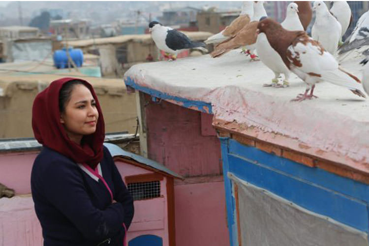 فیلم حوا، مریم، عایشه نماینده افغانستان در اسکار شد