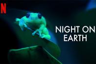 نتفلیکس در مستند حیات وحش Night on Earth به‌سراغ زندگی شبانه حیوانات می‌رود