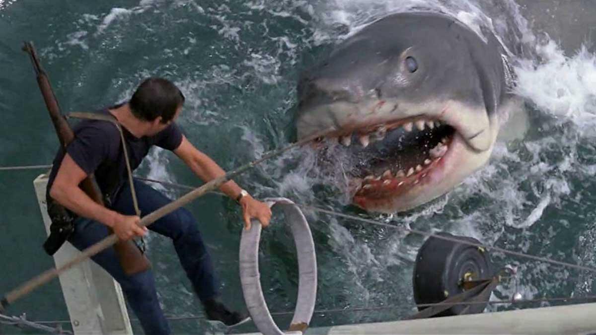 شکارچی کوسه در حال فرار از کوسه در فیلم Jaws