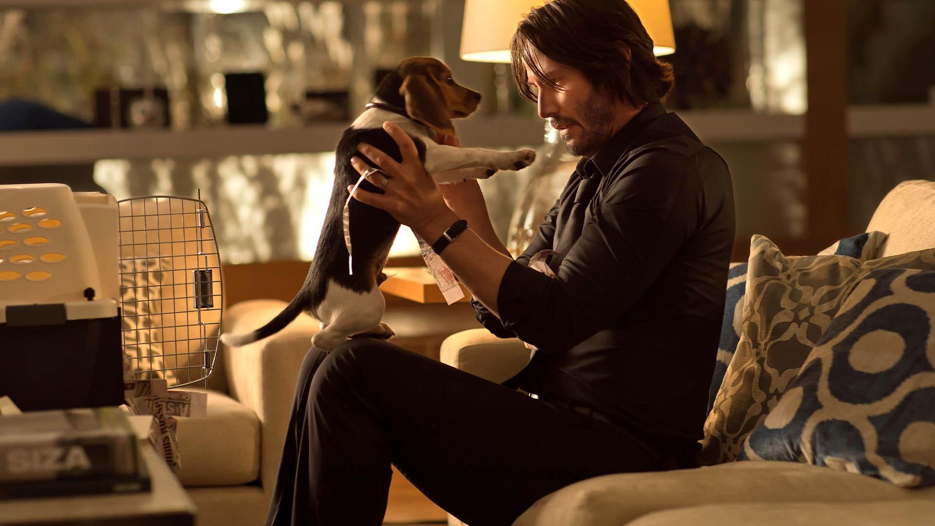 شخصیت جاناتان ویک همراه با سگ خود در فیلم John Wick