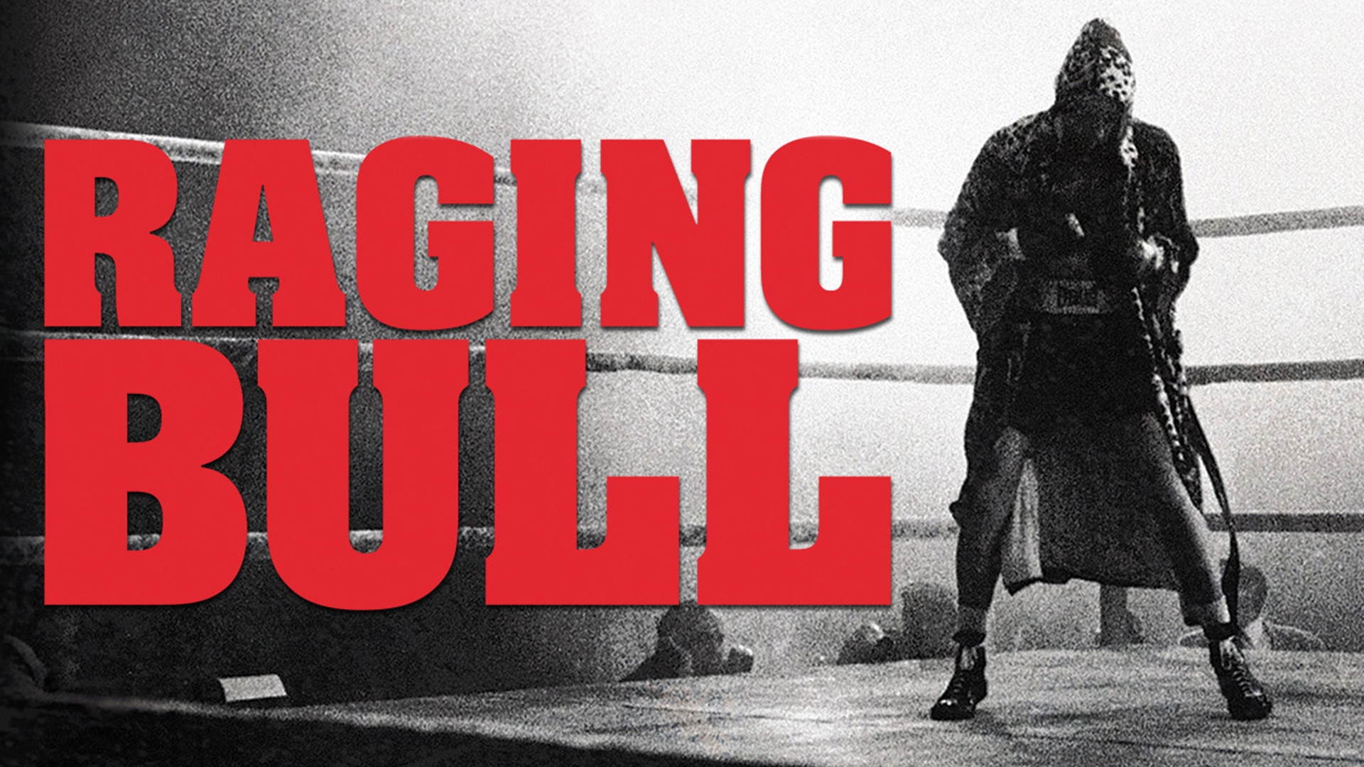 نقد فیلم Raging Bull - «گاو خشمگین»