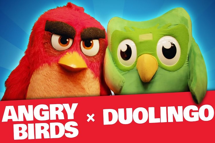 سازندگان Angry Birds با توسعه دهندگان برنامه‌ی مخصوص آموزش زبان Duolingo همکاری می‌کنند