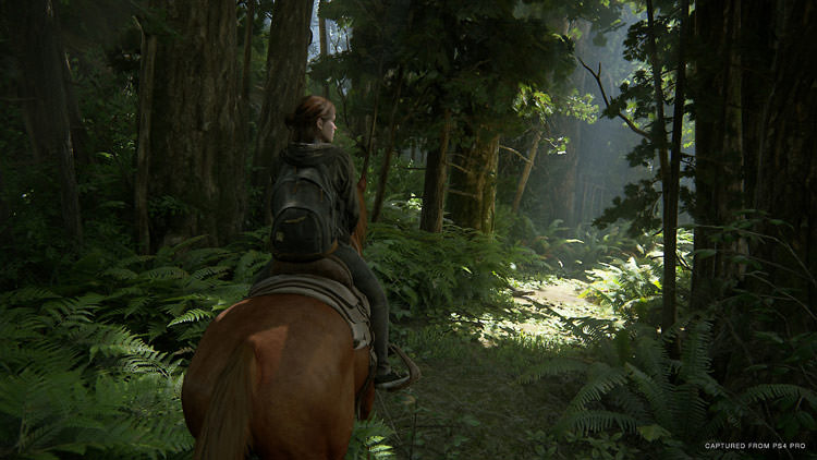 اسب در جنگل بازی The Last of Us Part 2