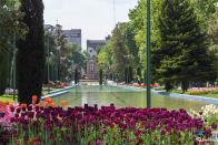 گشت و گذار در بهترین پارک های تهران