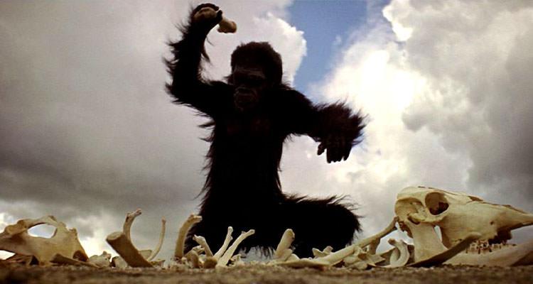 میمون فیلم اویسه‌ی فضایی درحال استفاده از استخوان به‌عنوان ابزار