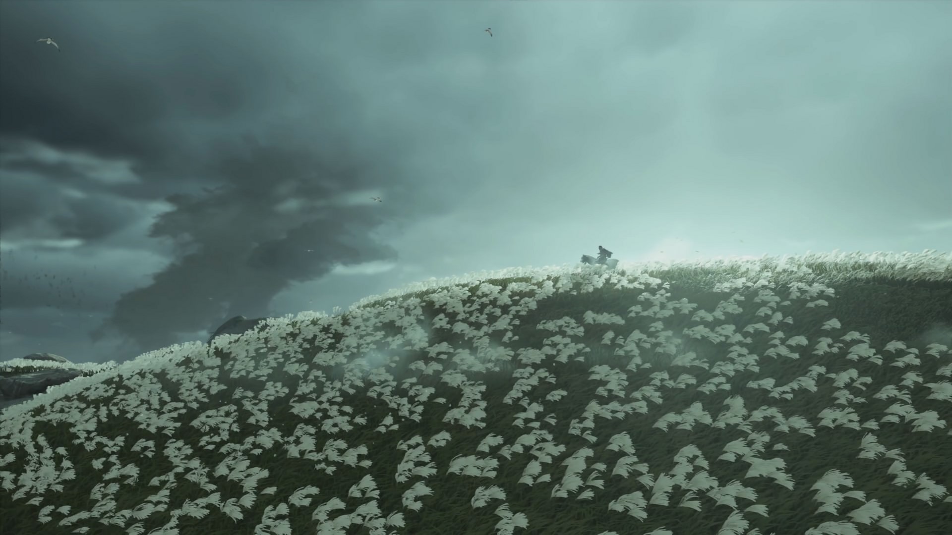 تصویر قهرمان بازی Ghost of Tsushima در یک تپه‌ی پر از گل