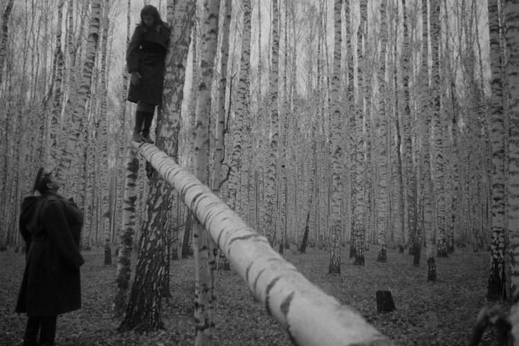 قدم زدن روی مسیر باریک در جنگل سیاه و سفید فیلم کلاسیک کودکی ایوان