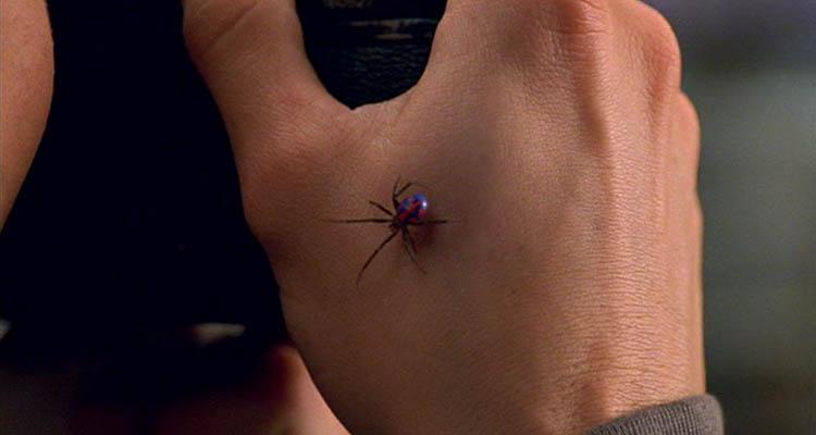 گریم عنکبوت انتخاب‌شده در  سه‌گانه spider-man