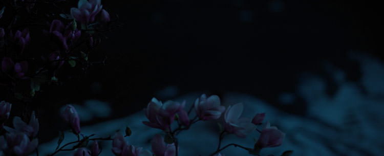 شکوفه های زیبا بالای دریاچه در فیلم Mulan دیزنی