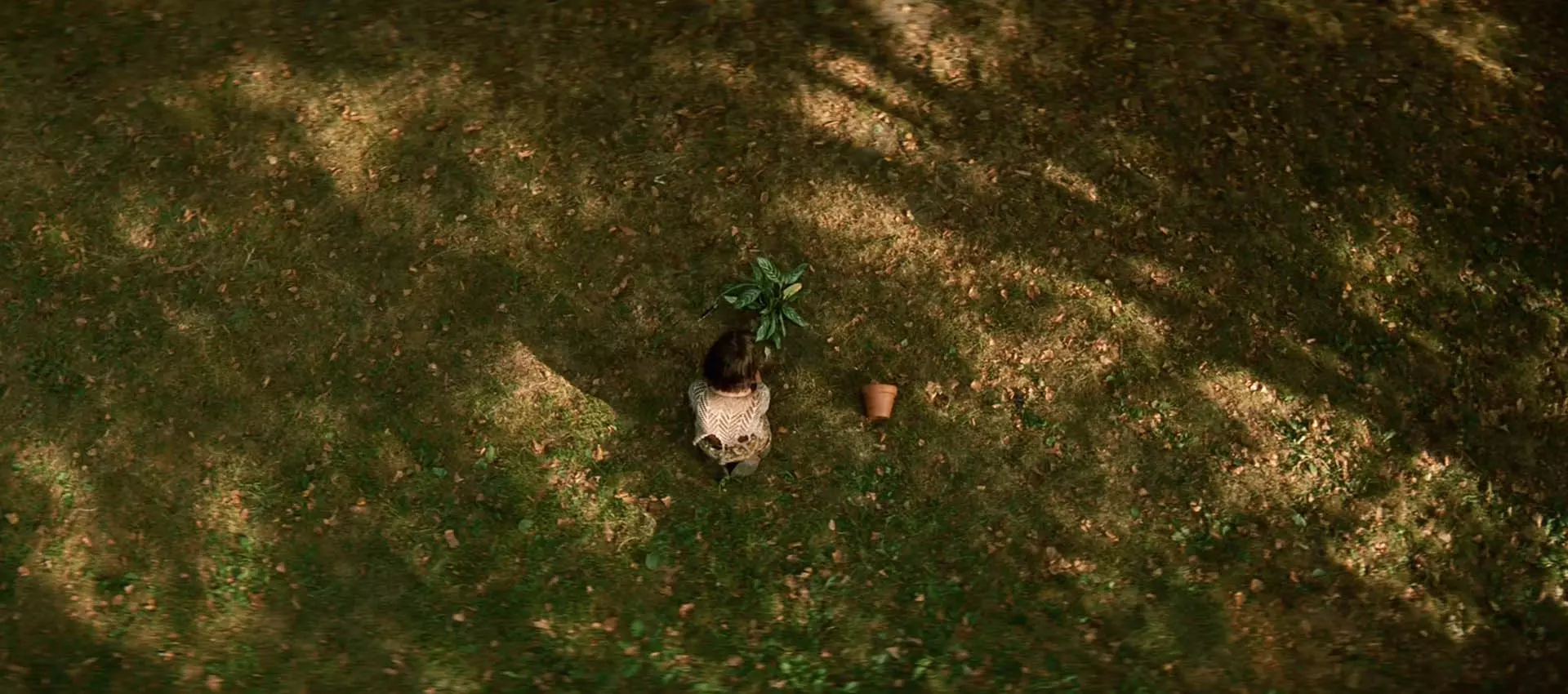 سکانس پایانی فیلم leon: the professional ماتیلدا درحال کاشتن گیاه لئون در زمین