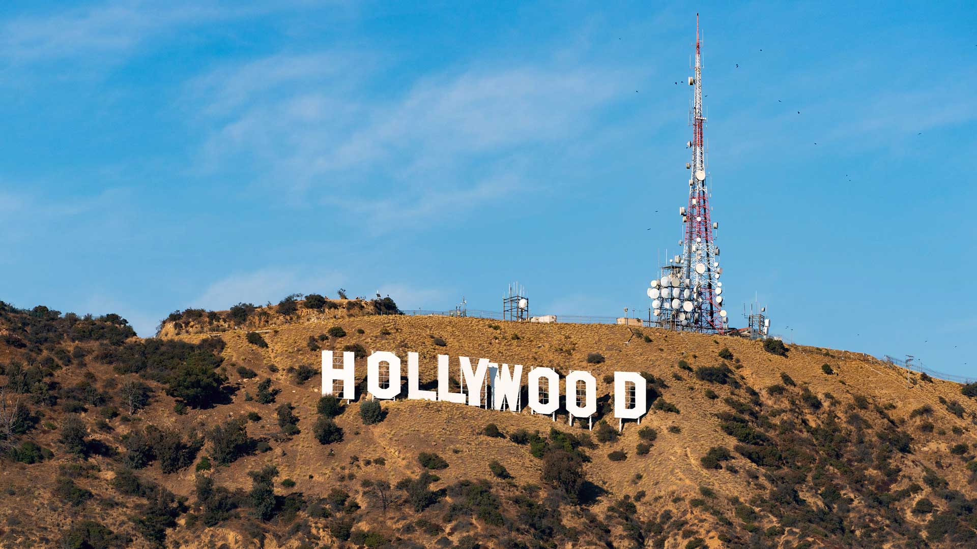 افزایش احتمال توقف تولید فیلم و سریال در هالیوود با اعتصاب کارکنان