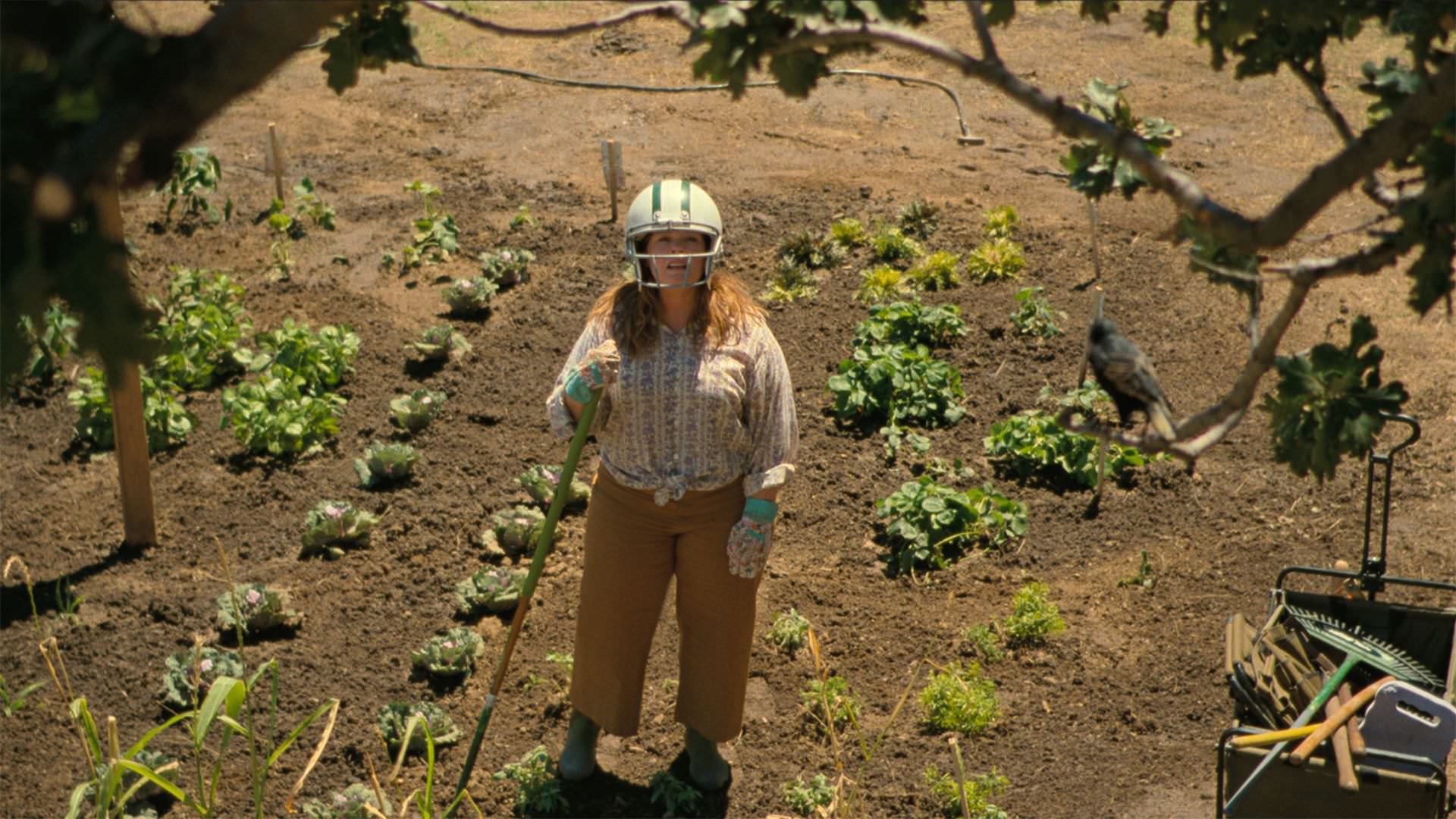 ملیسا مک کارتی در نقش لیلی مینارد در حال دفاع از مزرعه اش در مقابل پرنده سار در فیلم The Starling