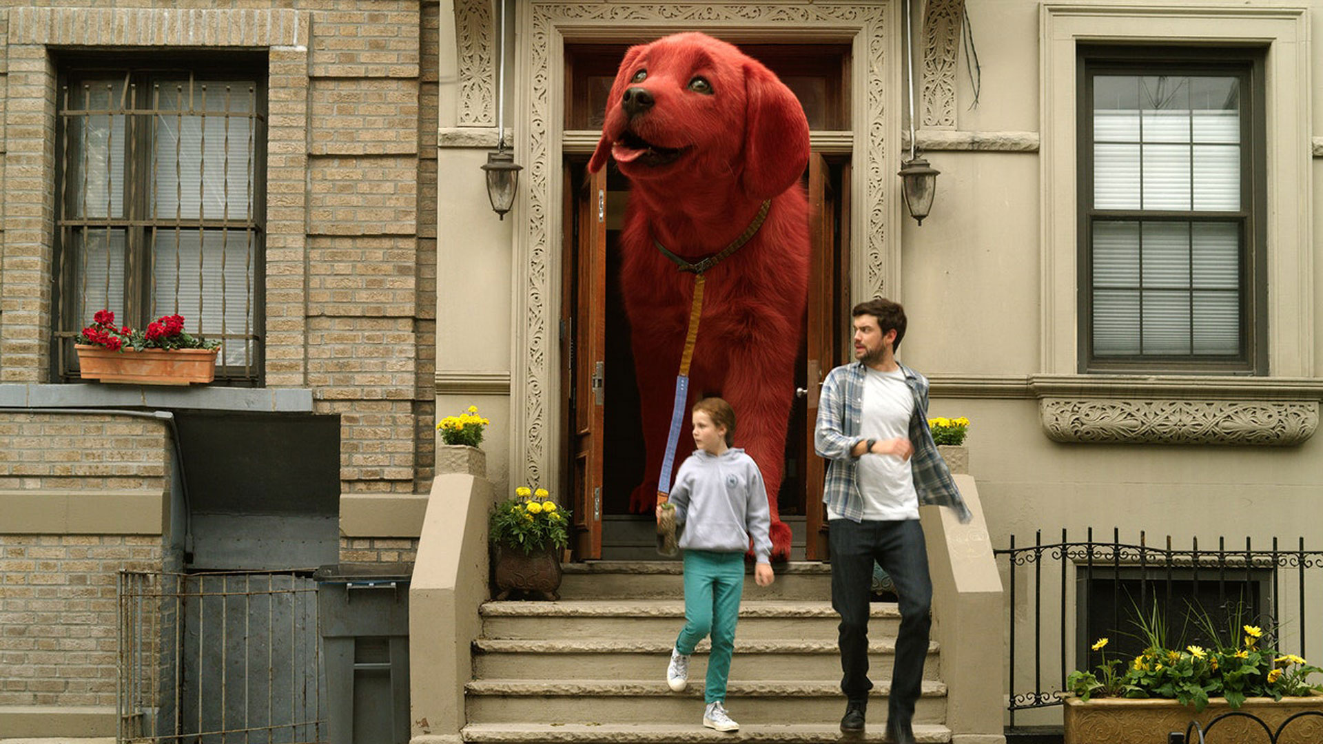صاحبان کلیفورد، سگ بزرگ قرمز را از خانه خارج می‌کنند