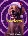 سگ لاکی پیتزا در پوستر شخصیت سریال Hawkeye