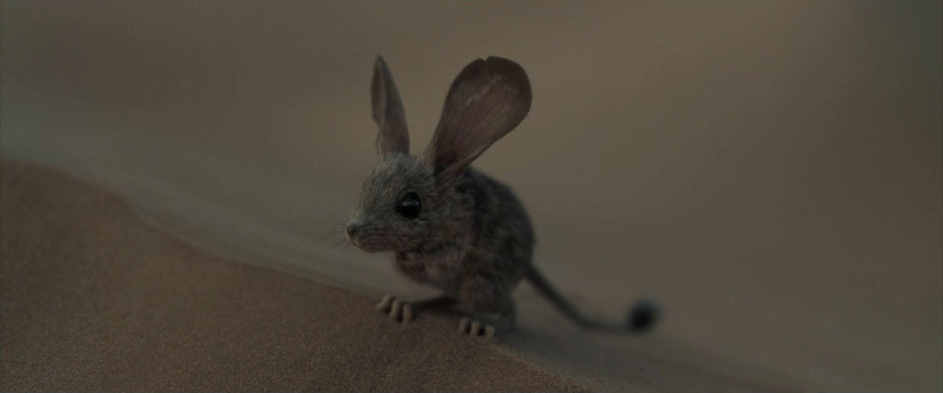 موش مودب در فیلم تلماسه
