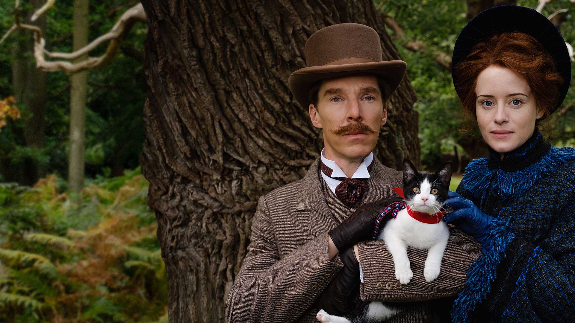 یک گربه روی دست های بندیکت کامبربچ و کلر فوی در فیلم زندگی الکتریکی لوئیس وین