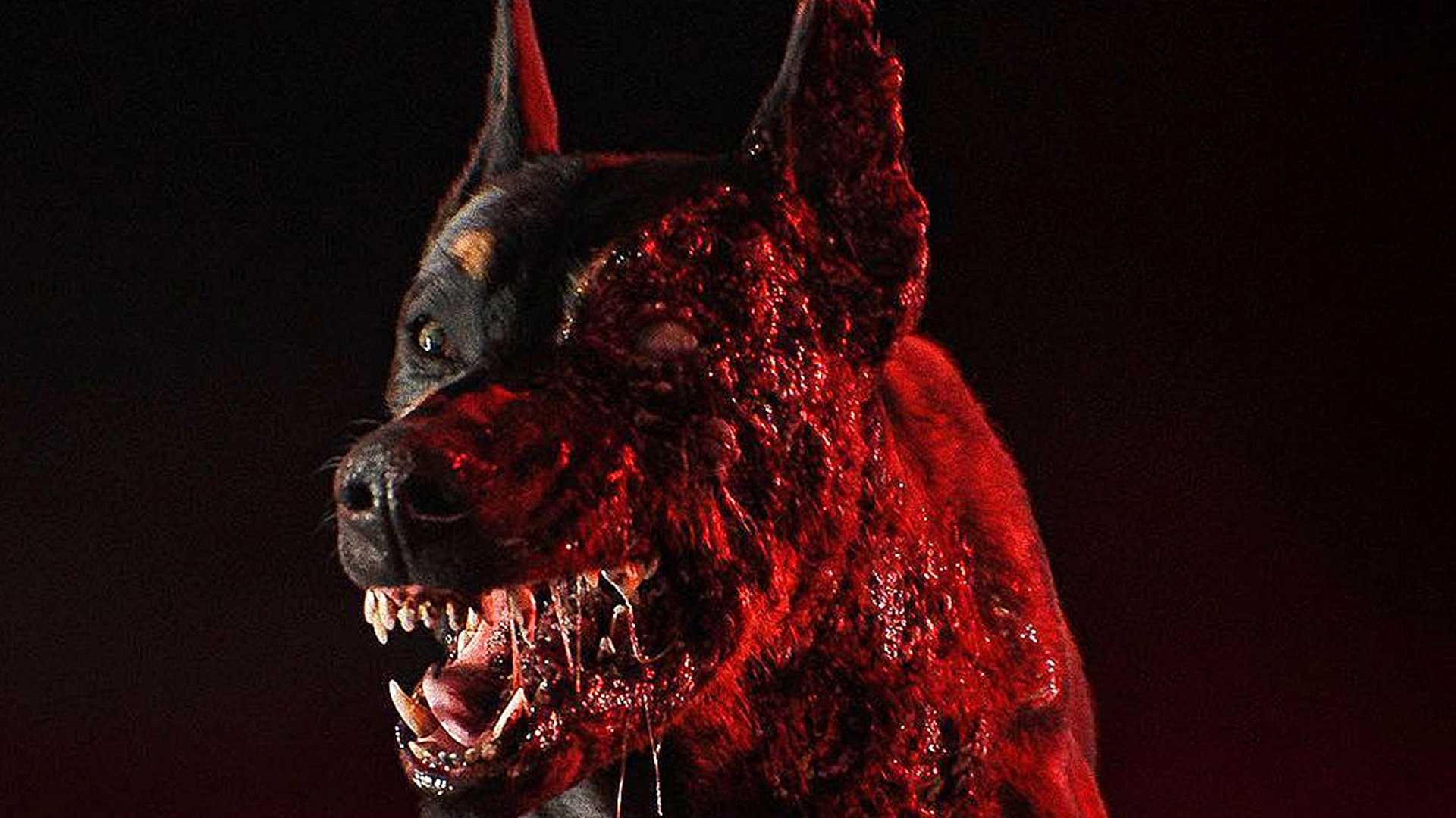 نمایش سگ زامبی در اولین تیزر سریال Resident Evil نتفلیکس