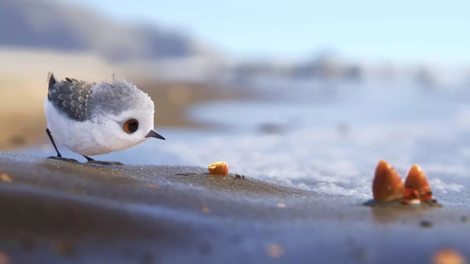 پرنده کوچکی در حال پیدا کردن غذا در انیمیشن کوتاه Piper