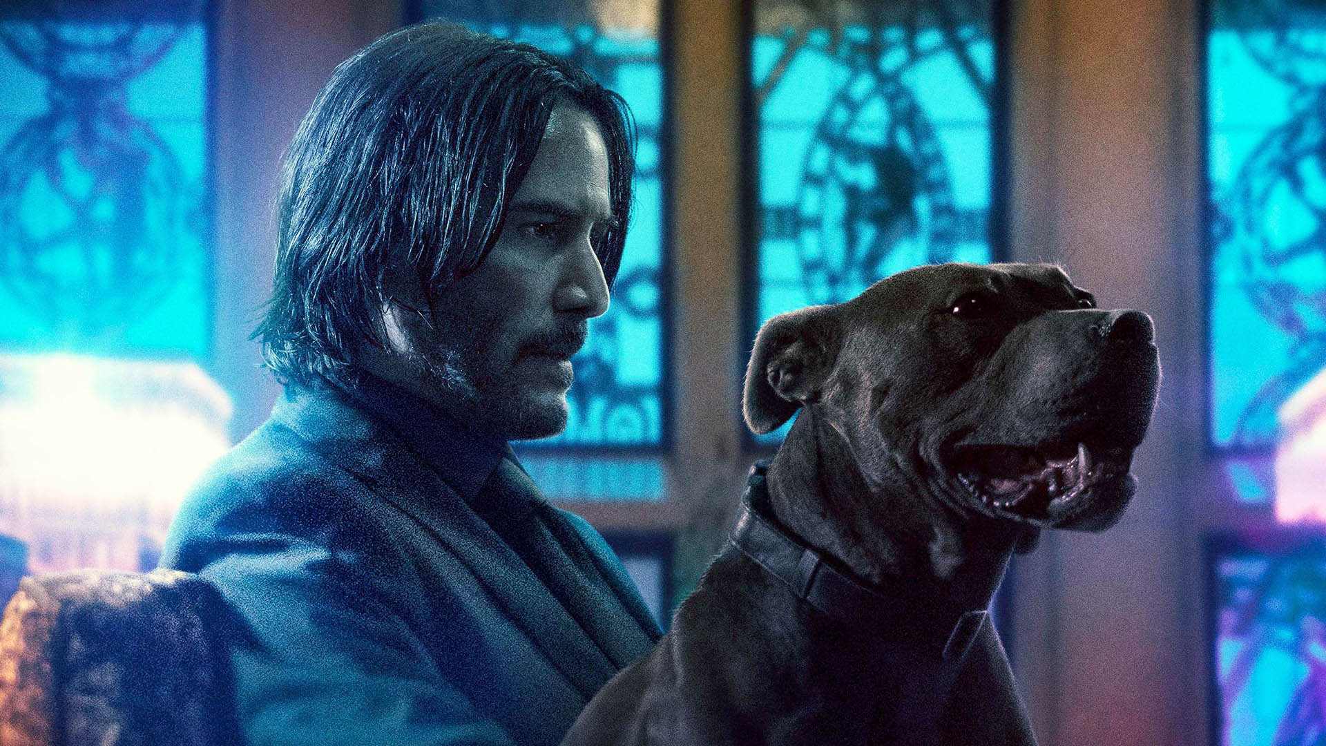 جان ویک و سگ او در حال نگاه کردن به روبه‌رو